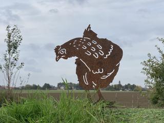 AC25 - Poule tête baissée